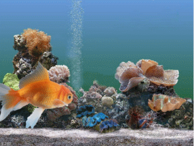 You Images Photo Background Screensaver E Cards  Aquarium Clipart Gold