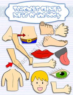 Body   Parts Of The Body Clip Art On Pinterest   Clip Art The Body