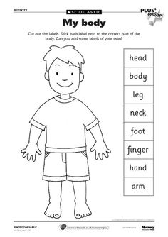 Body Parts Worksheet  Can Use As A Dictionary To Label Parts  More