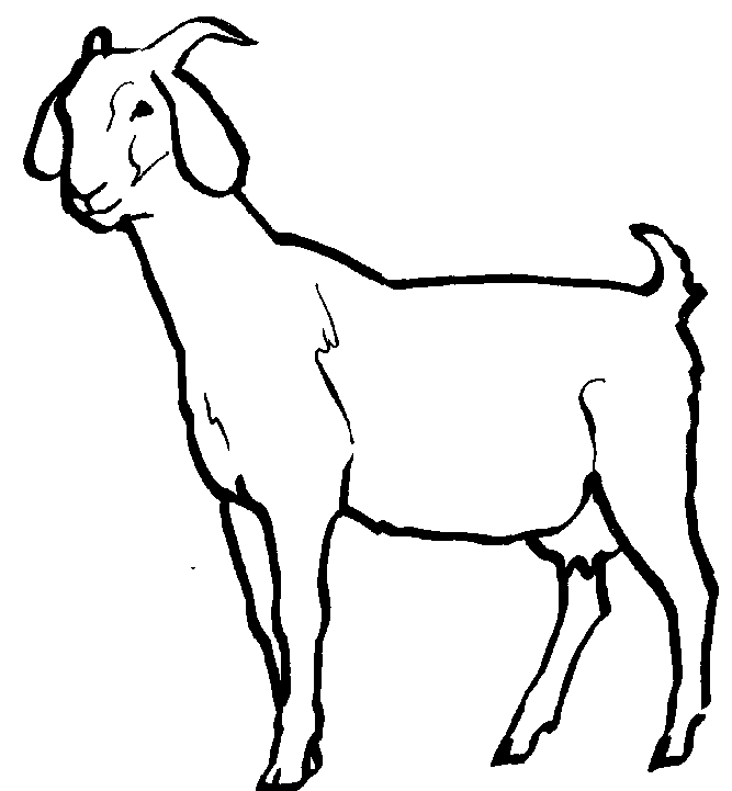 Goat Clip Art   Cliparts Co