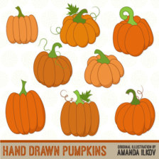 Hand Drawn Vector Pumpkins Clip Art   Pumpkin Clipart Pumpkin Clip    