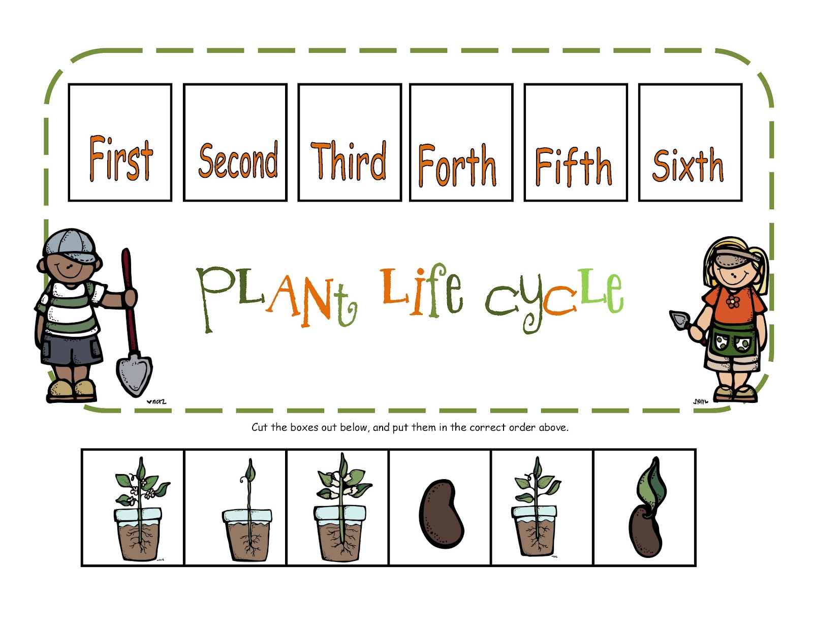 Preschool Printables  Plant Life Cycle Printable