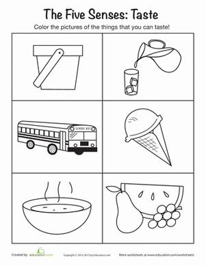Preschool The 5 Senses Worksheets  Things You Can Taste
