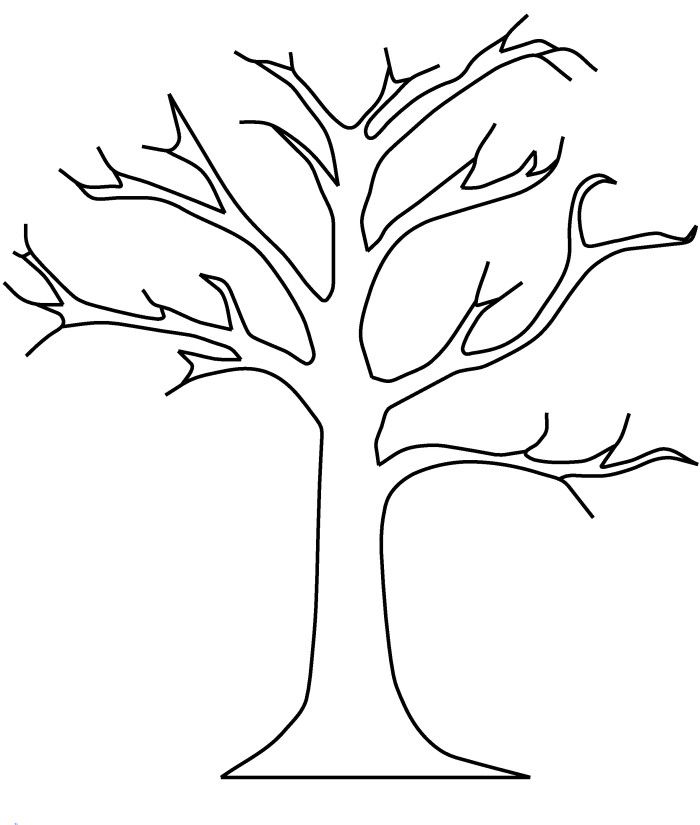 Apple Tree Without Leaves Coloring Pages   Tree Coloring Pages