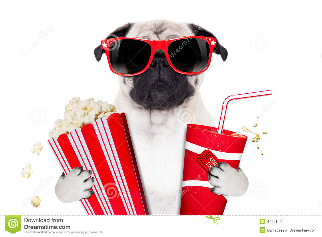 Cinema Movie Tv Watching Pug Dog Isolated On White Background With
