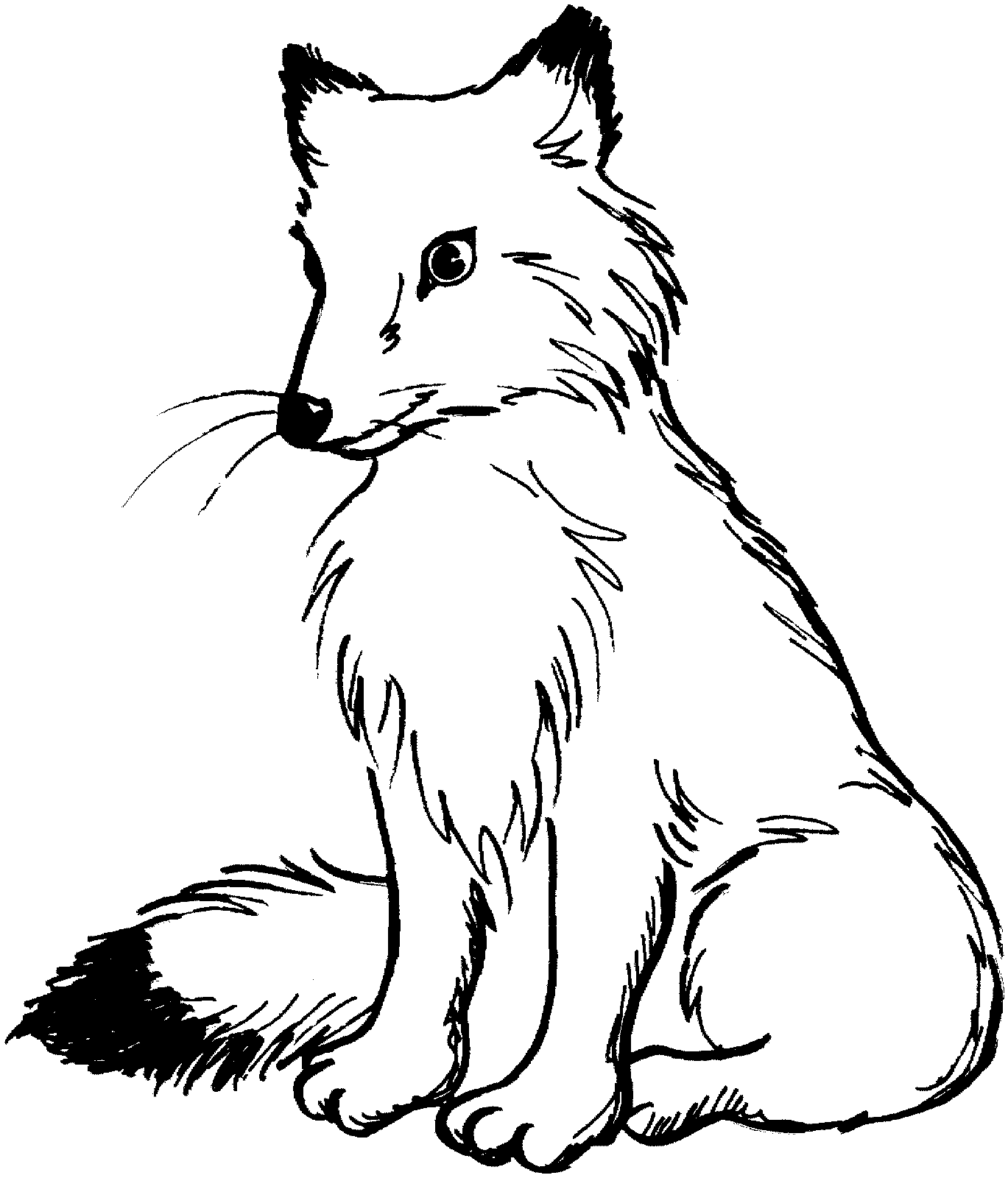Fox 4 Coloring Page