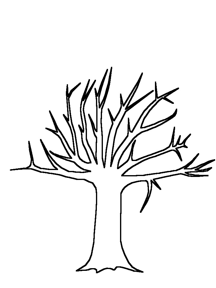 Realistic Apple Tree Drawing Simple Apple Tree Drawing Jpg