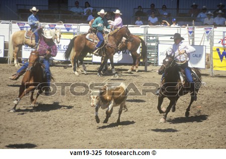 Team Roping Event Old Spanish Days Fiesta Rodeo And Stock Horse Show