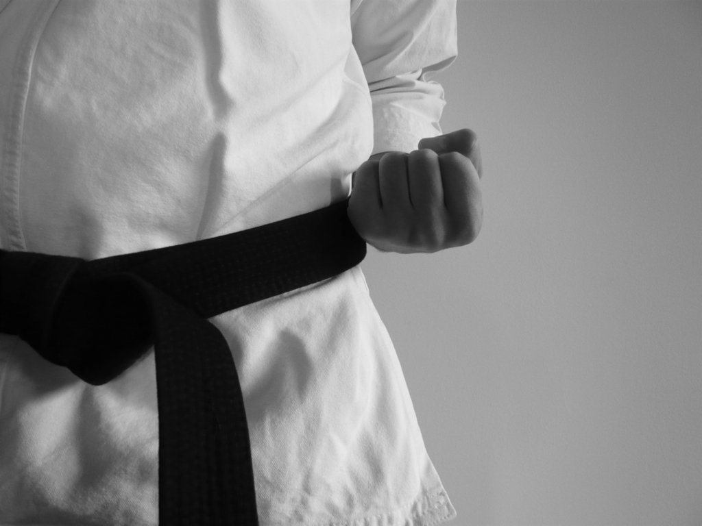 Black Belt Is A White Belt That Never Gave Up