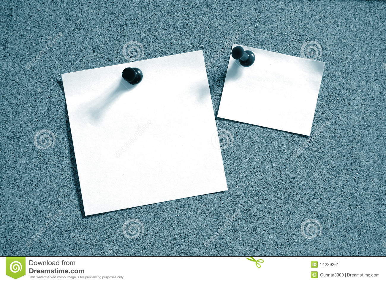 Blank Sheet Paper On Bulletin Board Stock Image   Image  14239261