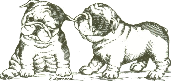 Bulldog Clip Art For Logos Httpwwwpelautscombulldogbulldog Logo