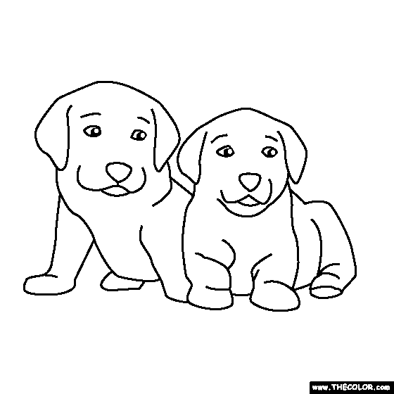Cute Coloring Pages Baby Puppies Puppy Bulldog