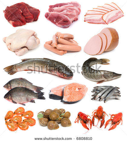 Image Set Of Fresh Meat Fish And Seafood On White Background Stock