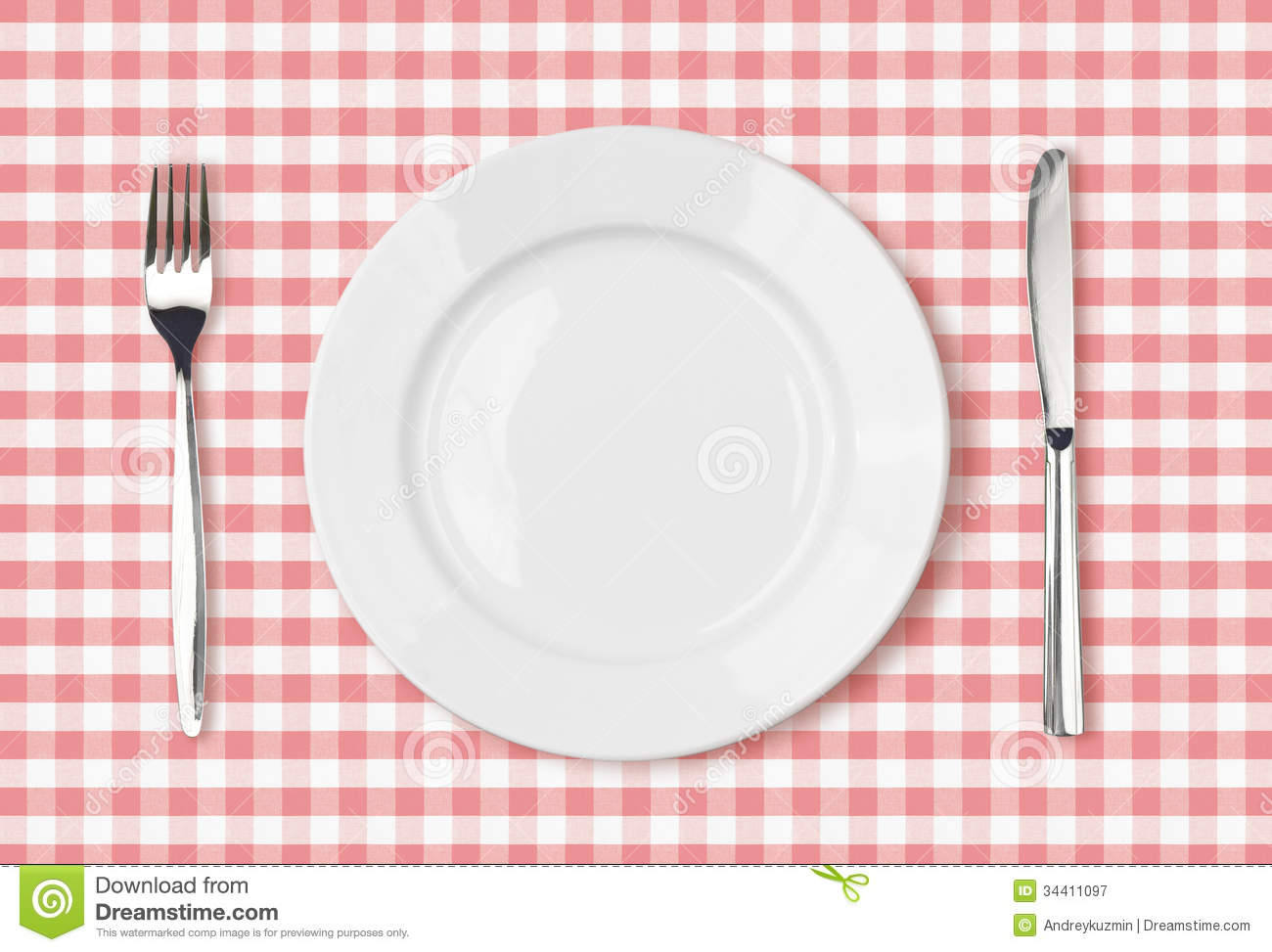 Photography  Empty Dinner Plate Top View On Pink Picnic Tablecloth