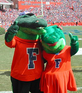 The University Of Florida S Mascots Albert And Alberta