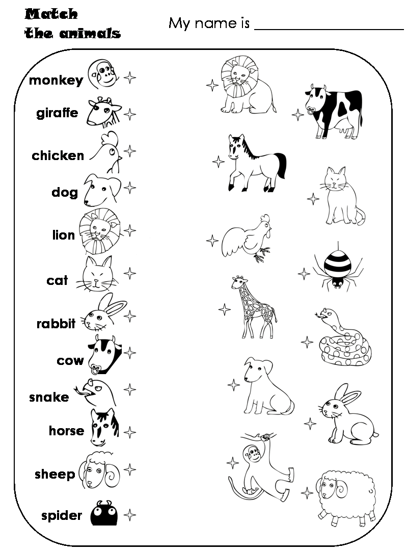 Worksheets For Preschoolers  Matching Animals   Match The Animals    