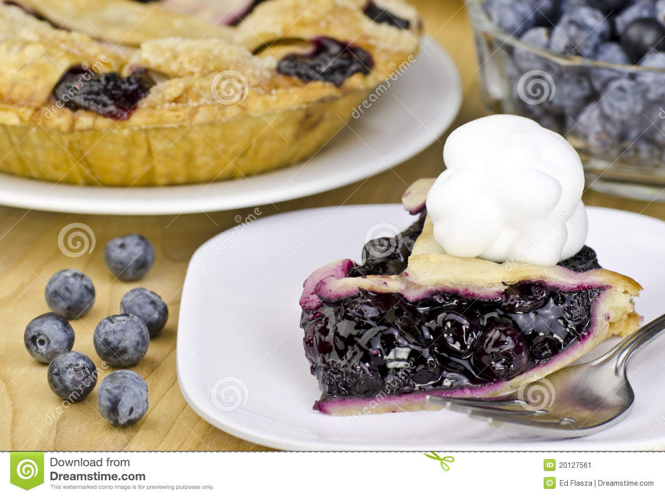 Blueberry Pie Stock Image   Image  20127561