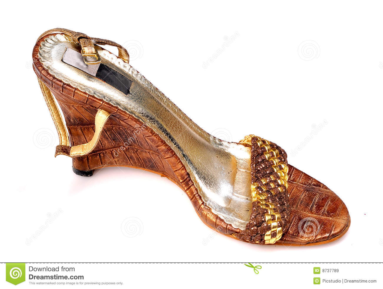 Ladies Footwear Royalty Free Stock Images   Image  8737789