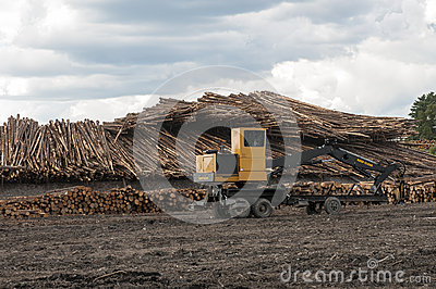 Logging Equipment At Lumber Mill Royalty Free Stock Photo   Image    