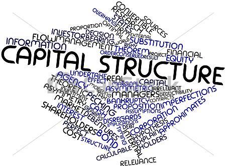 Managing Capital Structure   Financing Future