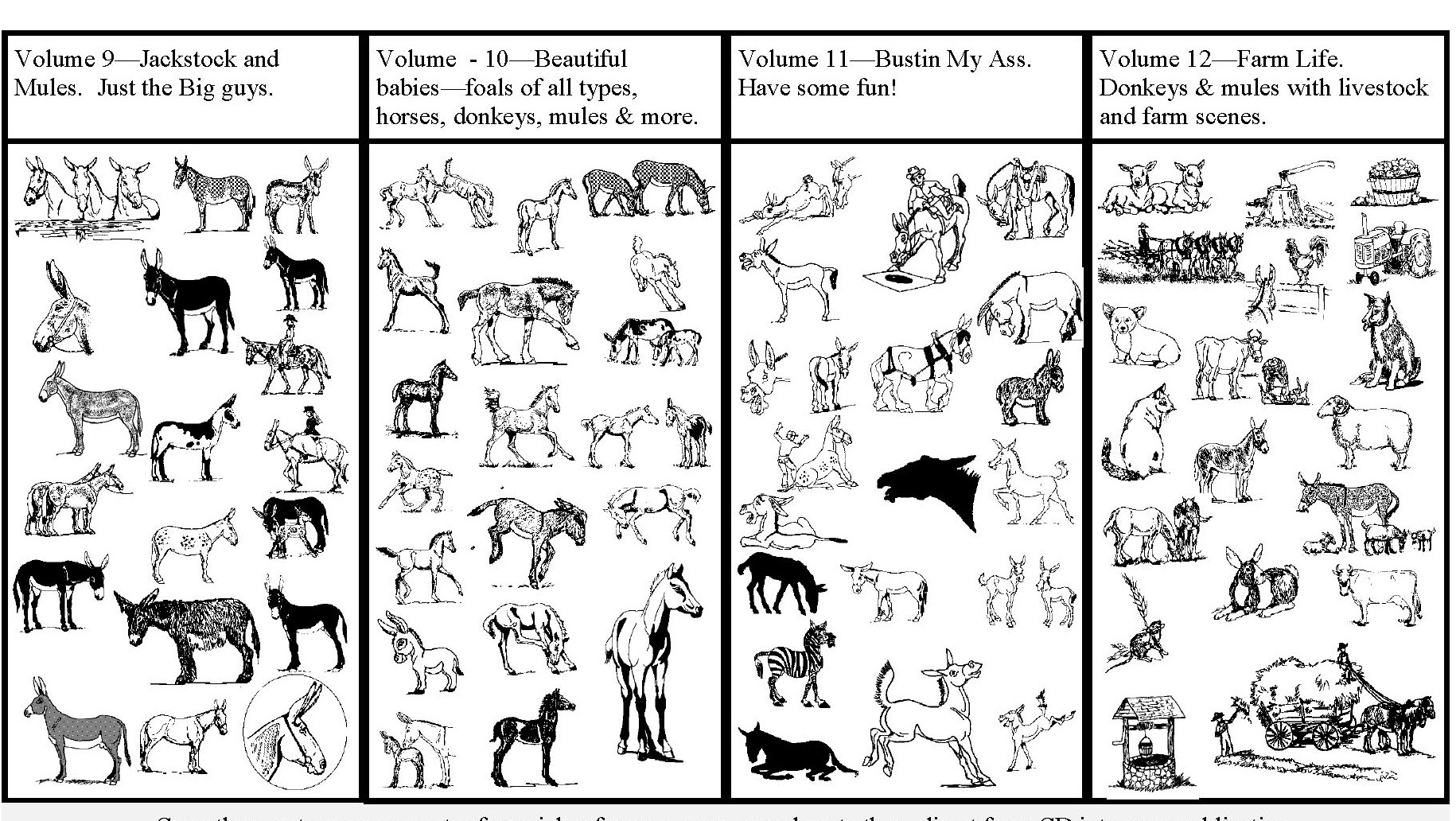 The Shady Donkey Clipart Collections