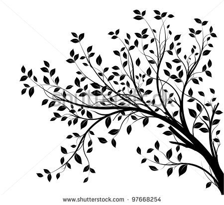 Tree Branches Silhouette Isolated Over White Background With Lot Of