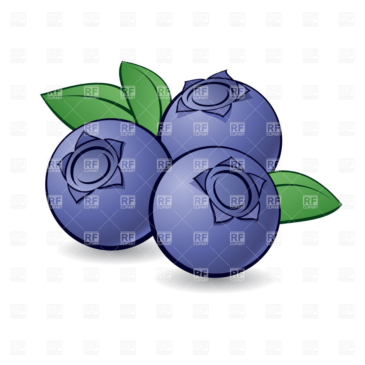 Cartoon Blueberry With Green Leaves On White Background 26953 Food