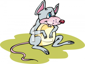 Clip Art Animal Images Animal Clipart Net Clipart Picture Of A Fat Rat