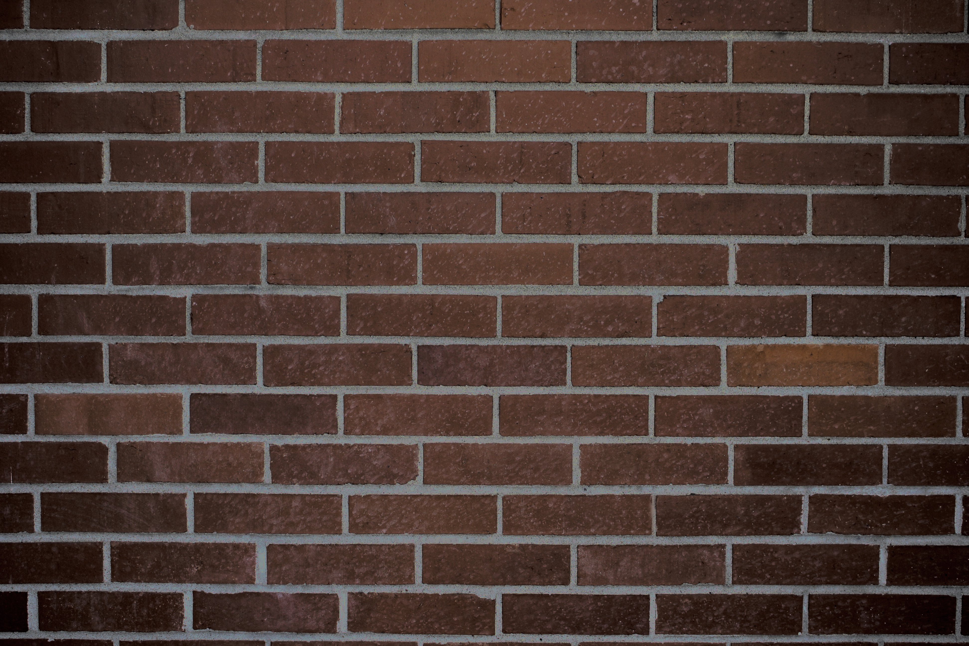 Dark Brown Brick Wall Texture Picture   Free Photograph   Photos