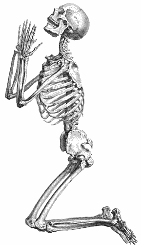 Free Clipart Of Skeleton Clipart Of A Skeleton Praying If You Love