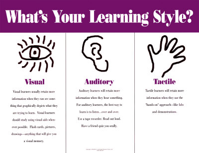 Learning Styles   Management At Leicester Student Blog