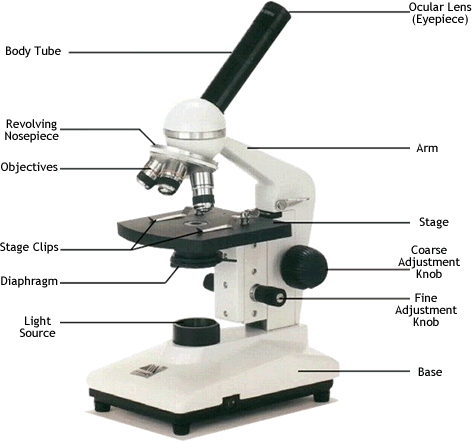 Quiz Yourself On Naming The Parts Of The Microscope    Print Out A    