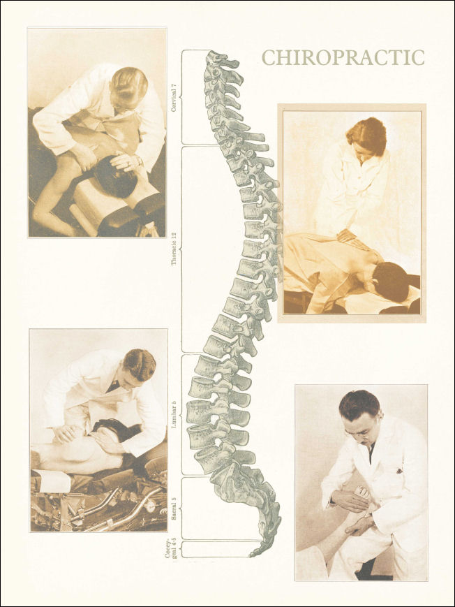 Set Of 2 Chiropractic Posters   18 X 24 Ea   Laminated Or Photo