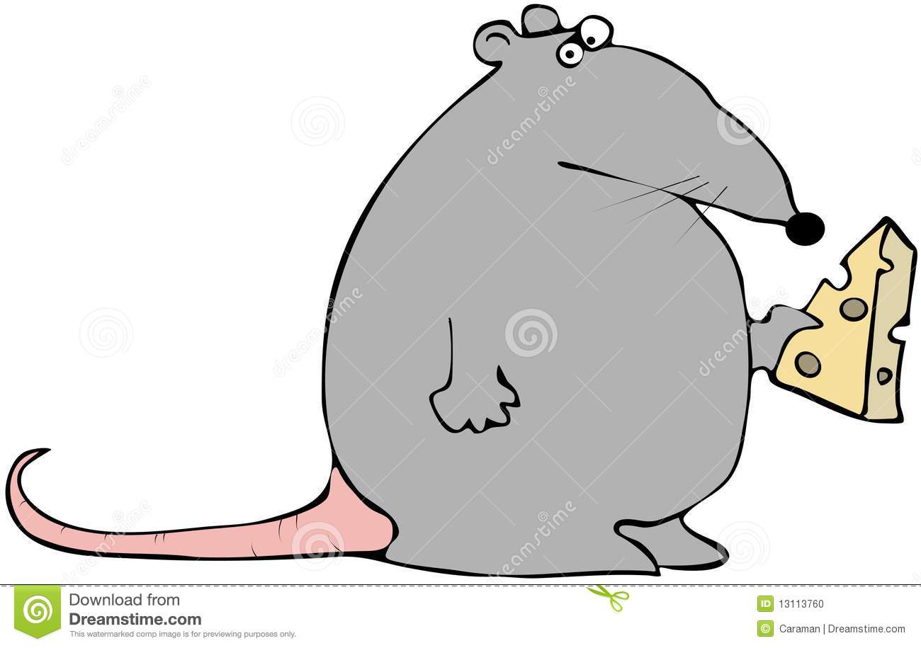 This Illustration Depicts A Fat Rat Holding A Slice Of Swiss Cheese