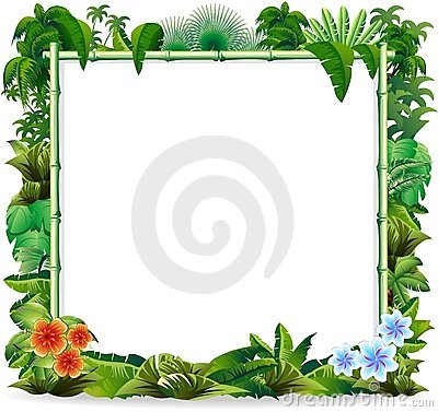 Bamboo Tropical Jungle Background Stock Photo   Image  19338890