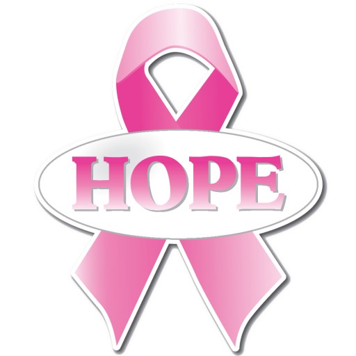 Breast Cancer Awareness  Hope  Pink Ribbon Yard Sign W Stakes