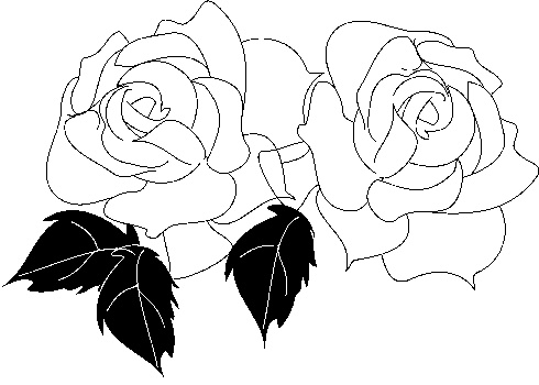 Clip Art  Plant   Flowers   Rose