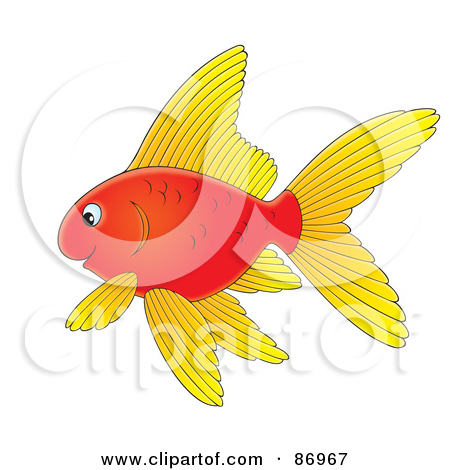 Fin Illustrations And Clipart Stock Photography Images   Auto Design