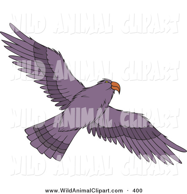 Flying Hawk Clip Art