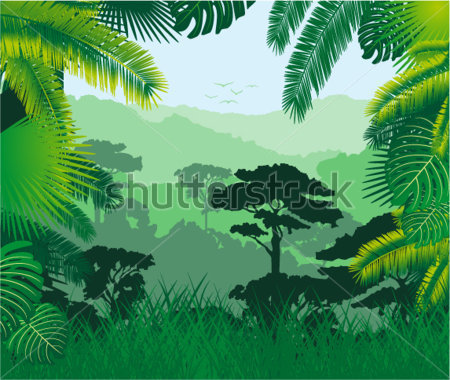 Home   Premium   Parks   Outdoor   Vector Tropical Rainforest