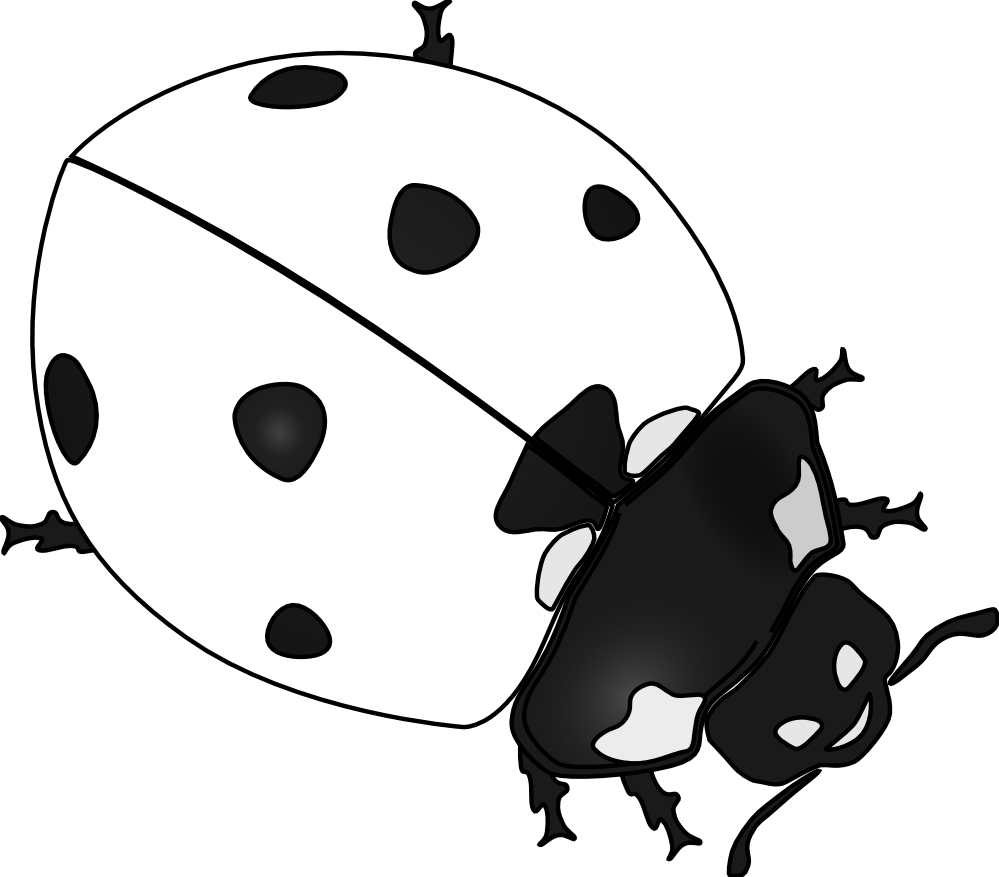 Ladybug Drawing Black And White   Clipart Panda   Free Clipart Images