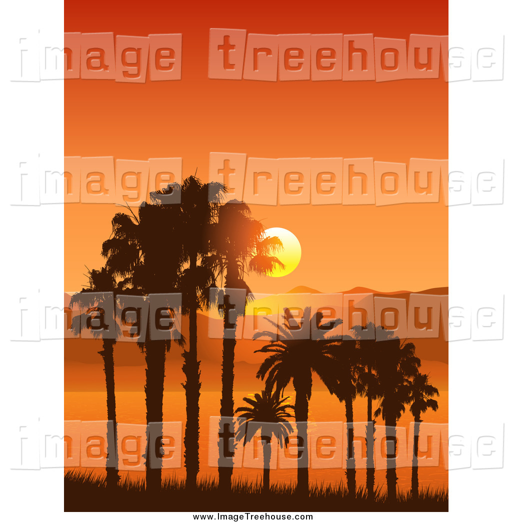 Orange Sunset And Tropical Bay And Palm Trees