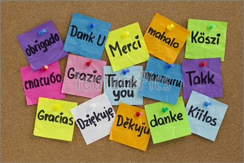 Picture Of Thank You In Sixteen Languages   Colorful Sticky Notes With