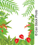 Rainforest Stock Illustrations  2214 Tropical Rainforest Clip