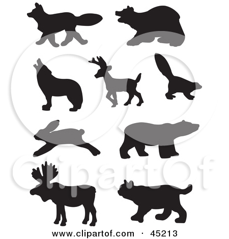 Realistic Woodland Animals Clipart   Cliparthut   Free Clipart