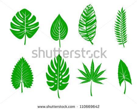 Set Of Green Tropical Leaves Vector Illustration Stock Clipart