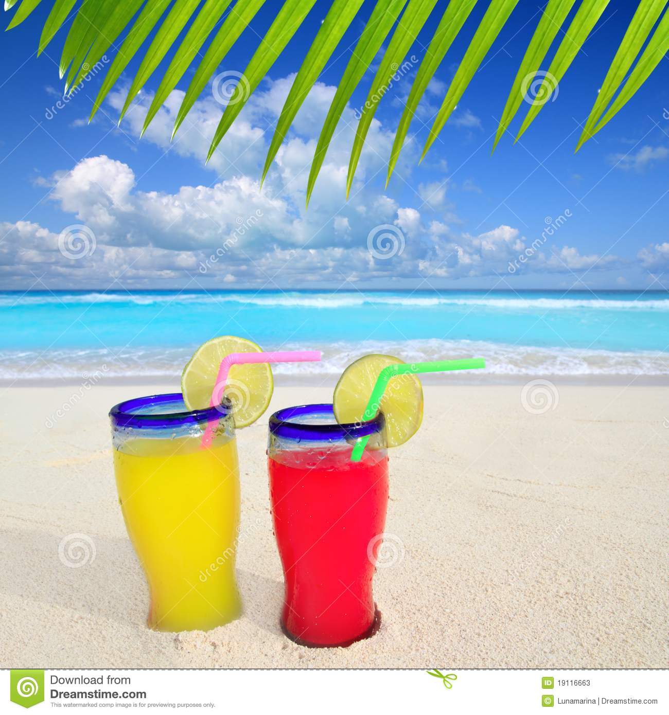 Tropical Cocktails Palm Tree Leafl Turquoise Beach On Caribbean Sea