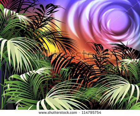 Tropical Rainforest Stock Vectors   Vector Clip Art   Shutterstock