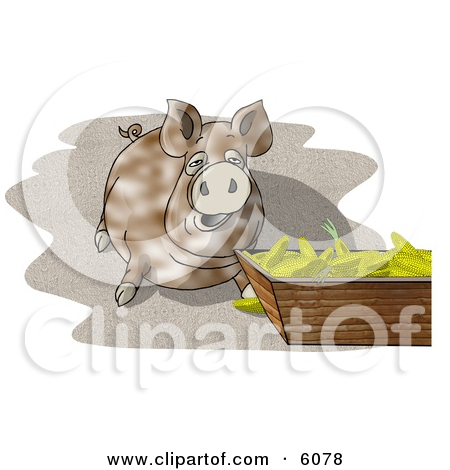 Beside A Feeding Container Full Of Corn Cobs Clipart Picture By Djart