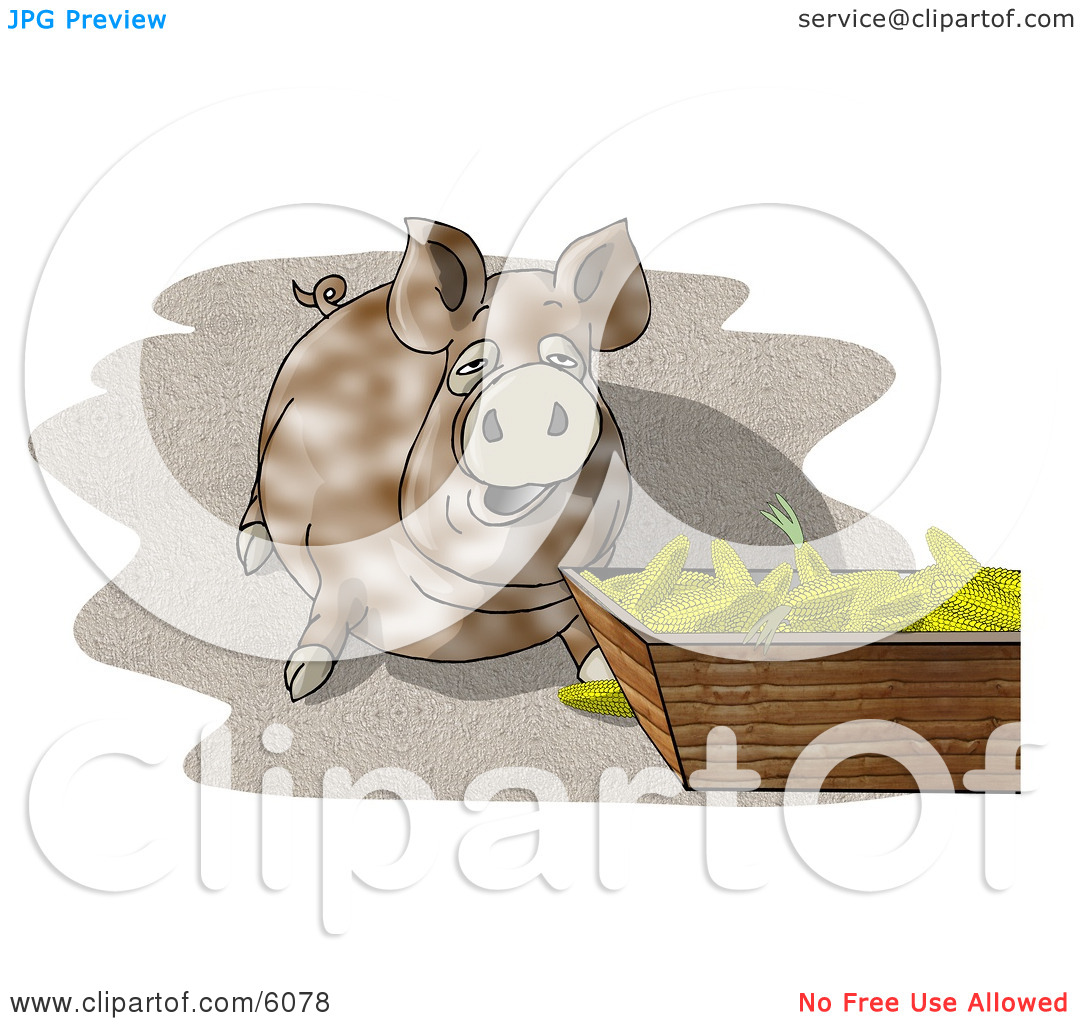 Beside A Feeding Container Full Of Corn Cobs Clipart Picture By Djart